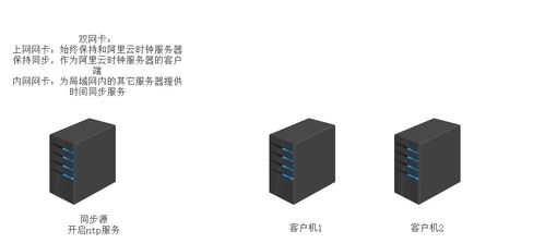 數據庫函數與存儲過程部署解析 構建高效的數據處理與存儲支持服務